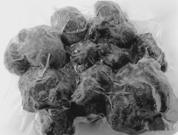 BLACK FROZEN TRUFFLE 500 gr (WHOLE / PIECES / SMALL PIECES)